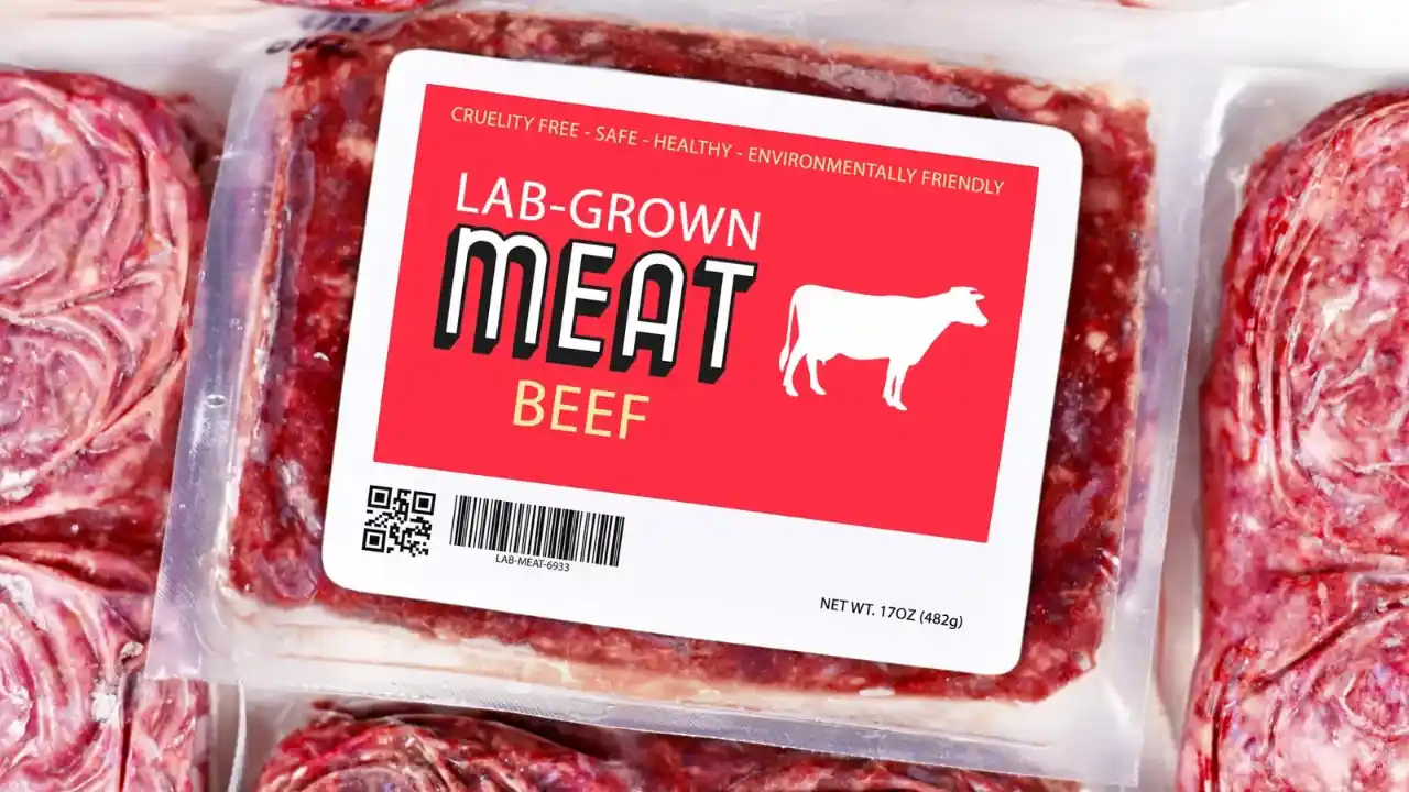 Πόσο «πράσινο» είναι το εργαστηριακό κρέας που σύντομα θα είναι στα πιάτα μας…;